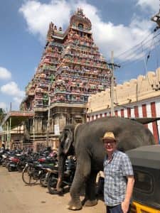 Rencontres insolites en en Inde. éléphant garé au milieu des voitures....