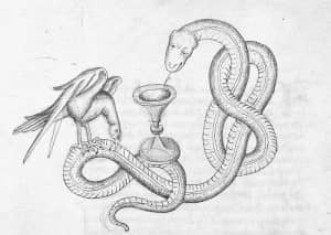 Lire la suite à propos de l’article LA QUÊTE DU GRAAL