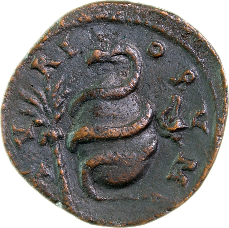 Lire la suite à propos de l’article (DRUIDES) QUÊTE DE L&rsquo;IMMORTALITÉ
